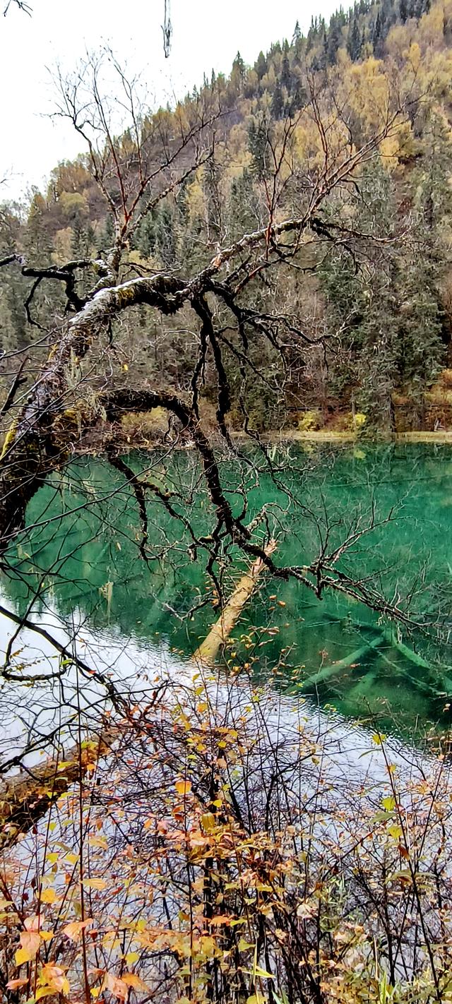 神仙池（一）竖幅