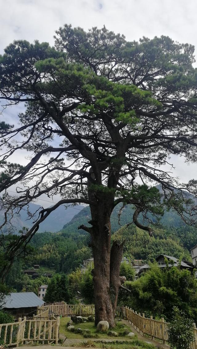 柳州周边小众景点（元宝村、小桑村、青山寨、培秀村、冬竹山）