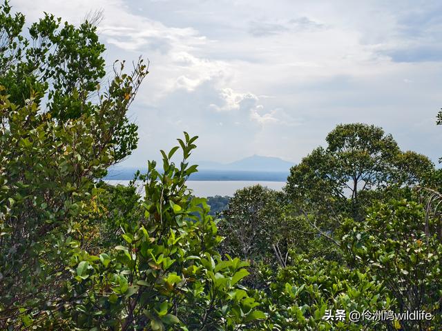 马来西亚(35)砂拉越州⑨峇哥国家公园徒步线路