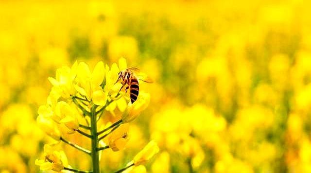 北京上海都懵了，天津凭啥悄悄火出圈？