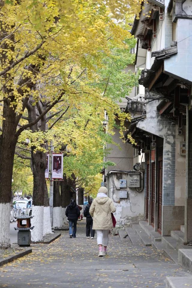 大理古城“金”彩上线！