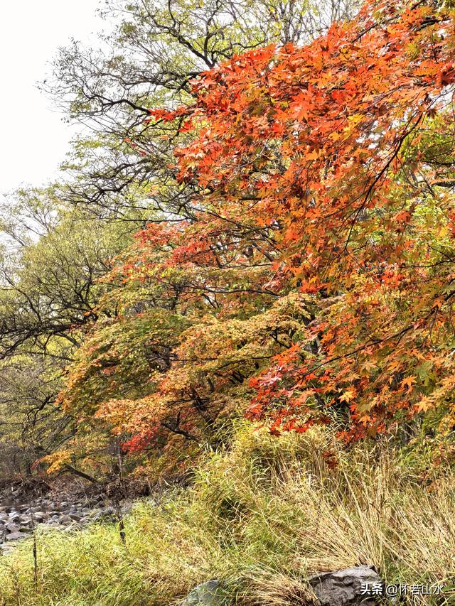 2025辽宁赏秋之旅日记(2)——游览丹东蒲石河森林公园