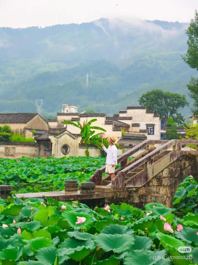 跟着小红书博主打卡黄山，拍出人生照片！| 皖美夏日