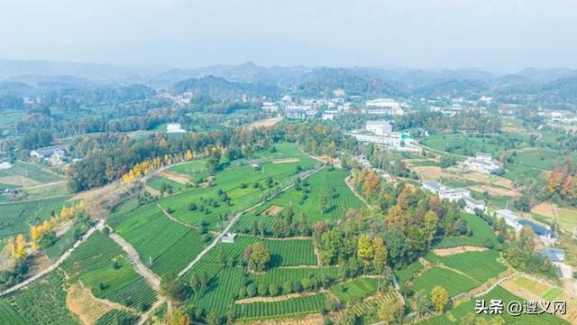 遵义湄潭：以茶为魂融旅兴业 绘出“茶旅共生”新图景