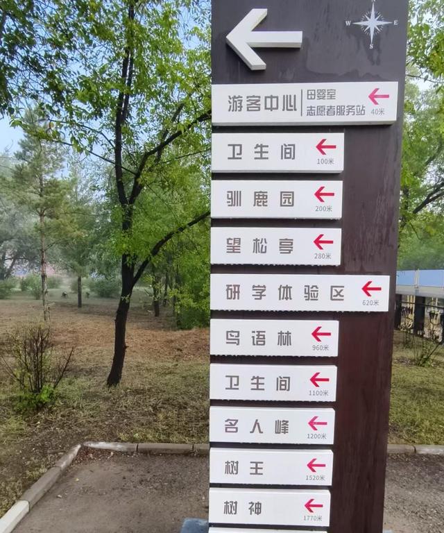 呼伦贝尔自由行5：海拉尔国家森林公园徒步