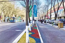 变废为宝！彩色有机覆盖物扮靓城市街头图片