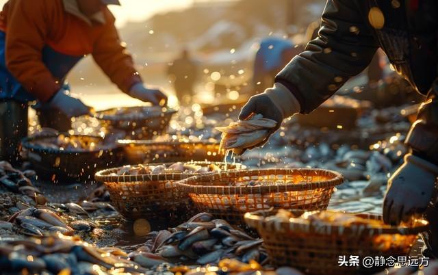 河南人去了青岛和日照，直言不讳：青岛人和日照人气质截然不同！