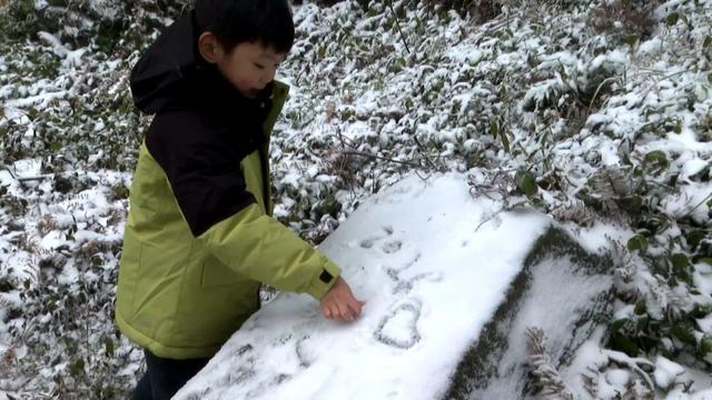 雪落渠县，水墨天成！雾凇与茶山共绘冬日限定童话