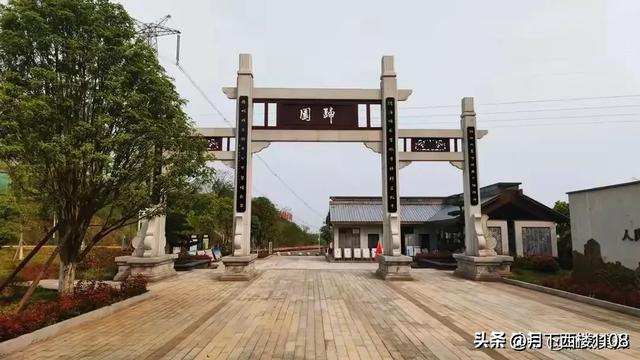 十年磨剑闯雄关，一朝试锋奏凯歌。2025年衡南一中高考再创辉煌