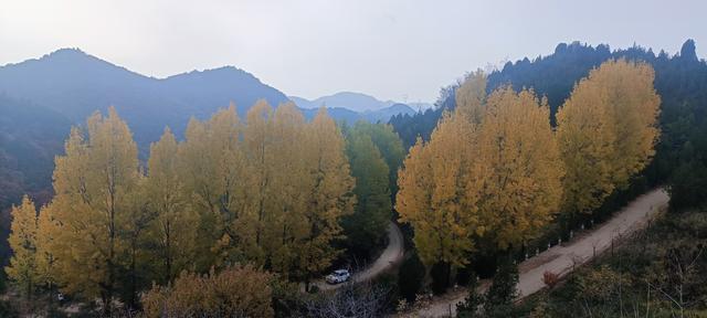 骊山红叶似火 车辆行人如织