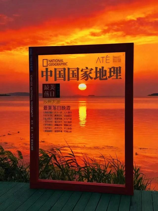 真的很美！2025苏州太湖观鸟超详细攻略来啦！