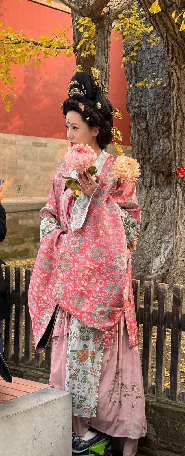 甘撒金缕苒秋寰