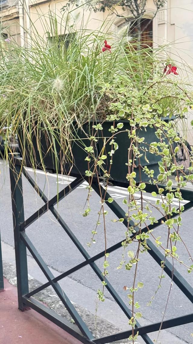 巴黎待了两日，彻底祛魅了