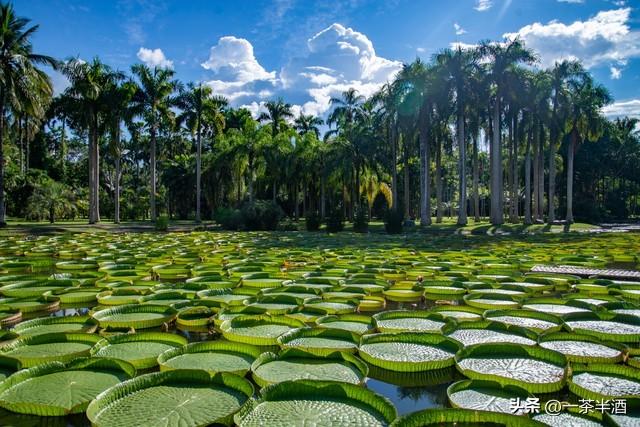 云南最值得游玩的地方