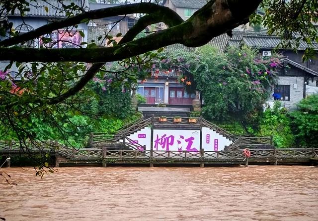 老兵军嫂游柳江：曾家园里看古树，烟雨河畔话当年