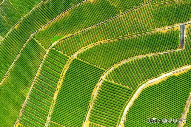 河南人去了潍坊和日照，直言不讳：潍坊人和日照人气质截然不同！