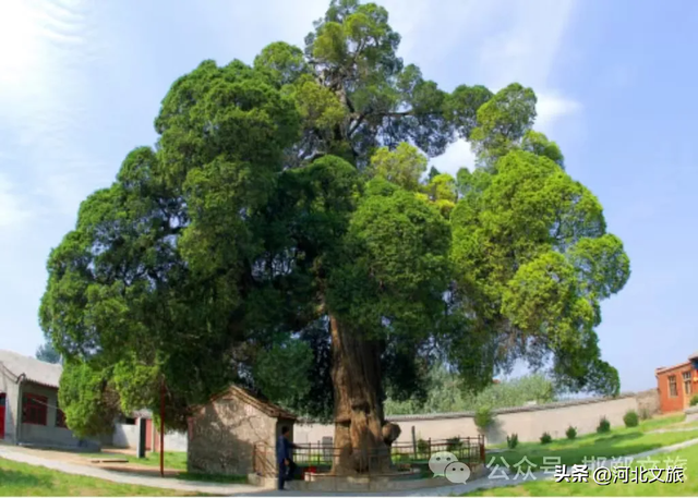 来邯郸去哪玩？热门打卡地第二弹，快收藏起来吧！