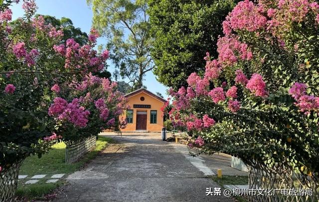 不出远门一样精彩！柳州各大公园日程表出炉，照着玩就对了→