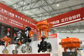 丝路新格局，化工新动能！兰洽会分会场2024西部（兰州新区）“精化展”开幕图片