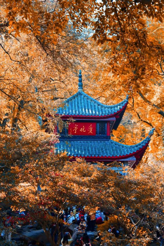 国内十大国庆旅游热门城市，看看有没有你想去的