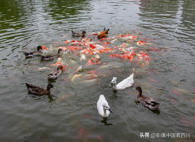 洛阳洛邑古城：喜迎国庆
