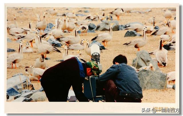 青海省博物馆里的“大美青海”成就展