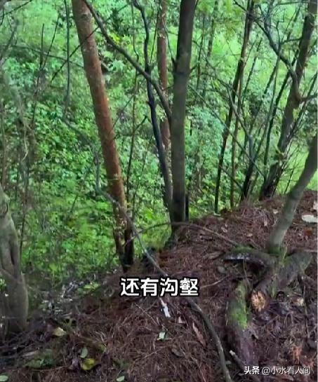 北京8岁男童走失4天，恶心一幕出现，多人起内讧，救援队被骂惨