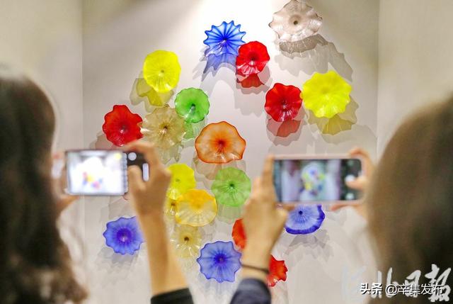 博物馆里有什么？这些神奇“宝藏”，等你探秘→