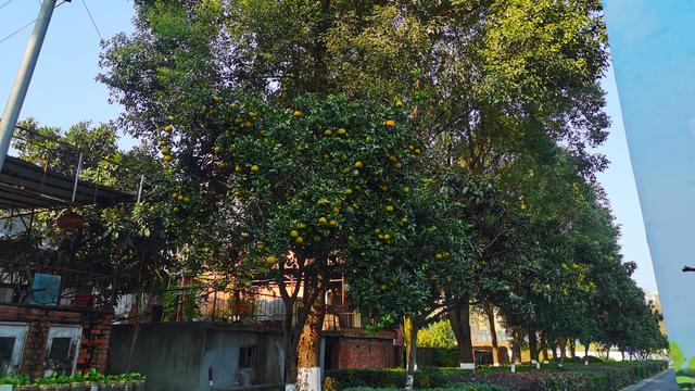 汉江野趣赋—陕西省安康市汉江探访四