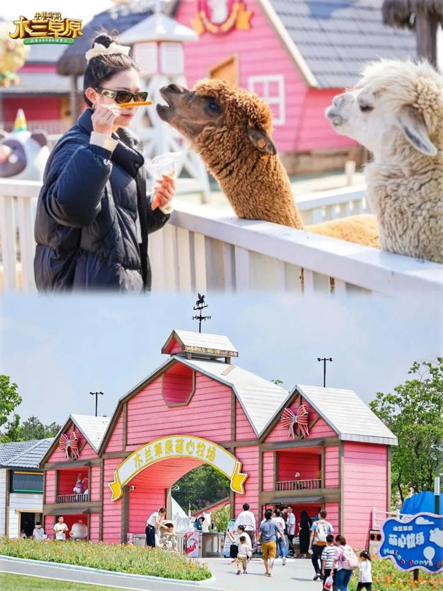 武汉人过冬新姿势丨睡在草原晒暖阳&看星河！