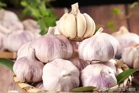有些人吃饭喜欢配大蒜一起吃，生吃大蒜有哪些利弊？图片
