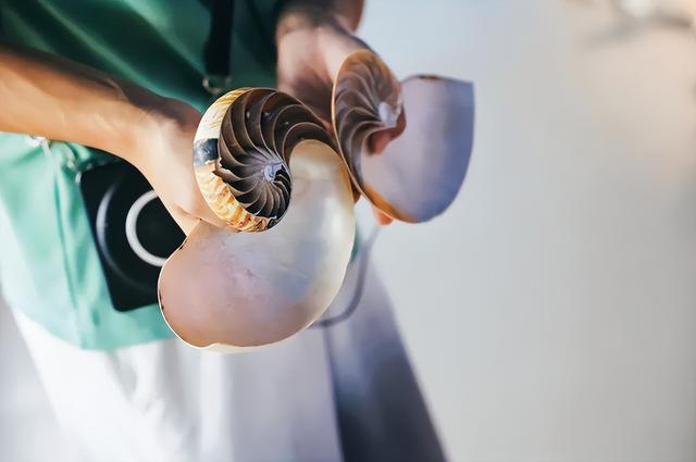 对话港口博物馆，探秘海洋研究院 | 2025甬峻青少年文化交流活动④