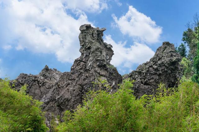 世界自然遗产、物种基因库、北纬31°绿色奇迹——神农架旅游攻略