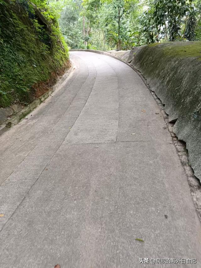 【旅游攻略】香港太平山：怎么爬上去？哪里可以免费拍维港全景？