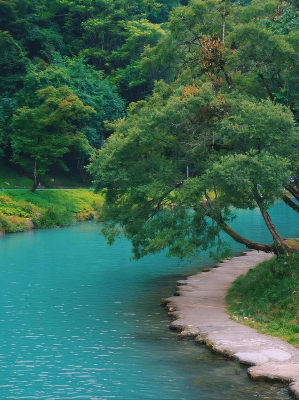 不是在上班的路上吗？怎么到雅安了~