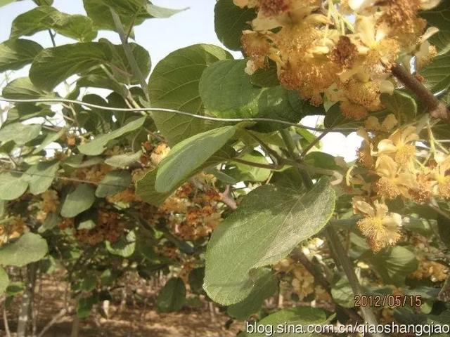 渭华赤水河畔——我可爱的家乡
