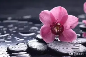 “人有好命，老天必赐苦”，命里出现这些苦，其实是老天的眷顾！图片