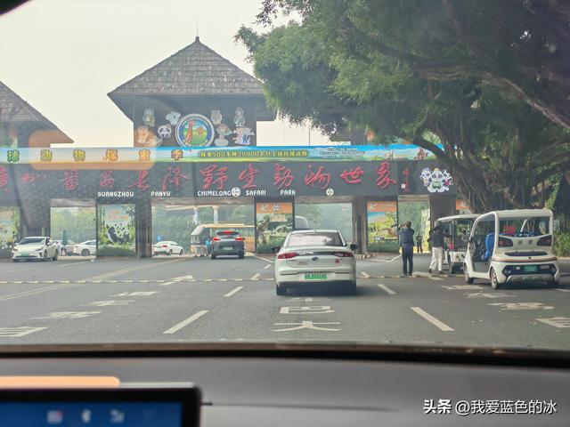 参观广州长隆野生动物园，全程感觉眼累手累腿不累