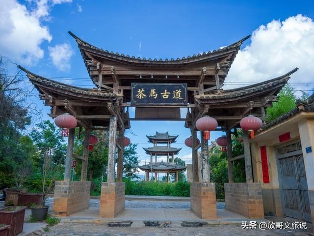 春分就想找个有花有茶的地方？雅安，一趟把春天喝进肚子里！