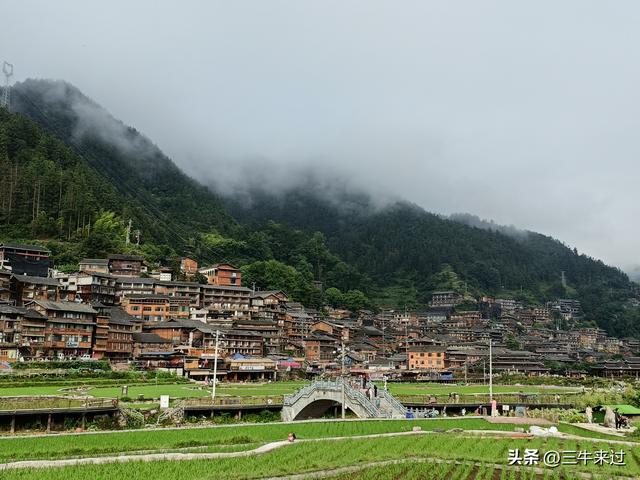 无为在歧路，2025之经行