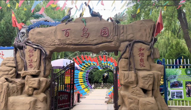 这个夏天，带娃去金昌“闯关”