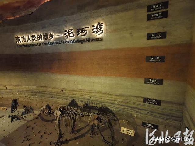 假期不宅家丨博物馆里有什么？这些神奇“宝藏”，等你探秘→