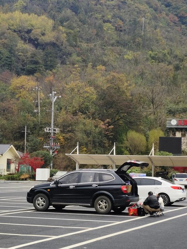 南行漫记：汉中南郑区到巴中恩阳区，9小时233公里的行走路书