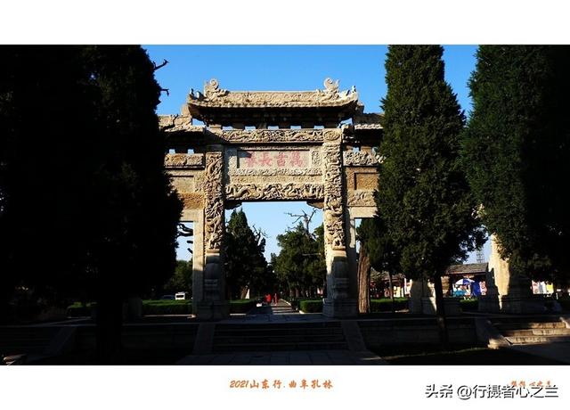 山东行游影记（225）—曲阜孔林（一）