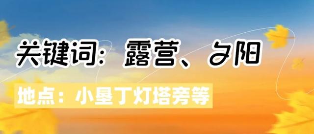 红高粱、向日葵，江心洲打卡正当时