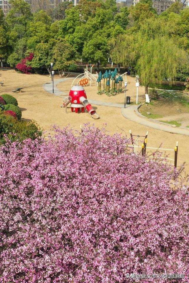 大学四年，如何玩转武汉江滩？新生必看→