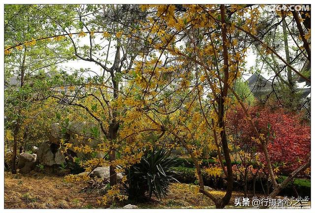 山东行游影记（44）—王羲之故居（七）