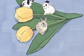 高质量沙雕网名图片