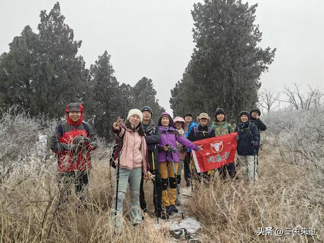 无为在歧路，何处寻雾凇