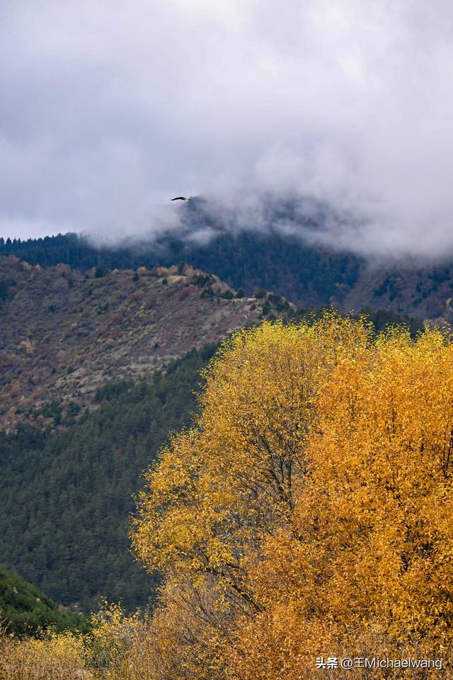 古意秋风三万里（D30）-从迭部到松潘